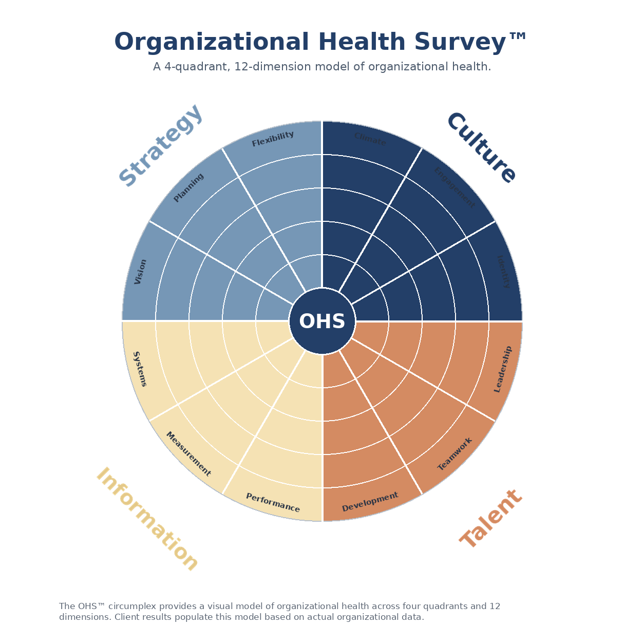 Organizational Health Survey model showing Strategy, Culture, Talent and Information across 12 dimensions
